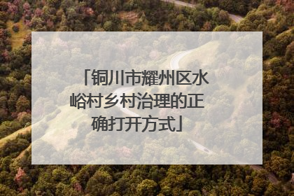 铜川市耀州区水峪村乡村治理的正确打开方式